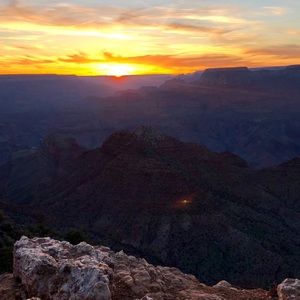 Meet your Posher, Callie